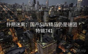 扑朔迷离：国产SUV精品仍是谜团 · 特辑741