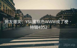 网友爆笑：YSL蜜桃色WWW成了梗 · 特辑4952