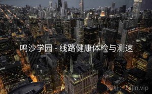 鸣沙学园 - 线路健康体检与测速