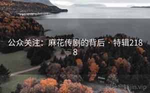 公众关注：麻花传剧的背后 · 特辑2188