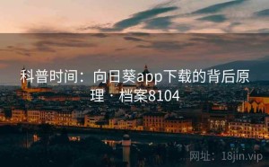 科普时间：向日葵app下载的背后原理 · 档案8104