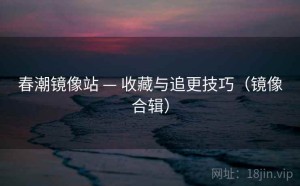 春潮镜像站 — 收藏与追更技巧（镜像合辑）
