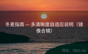 冬麦指南 — 多清晰度自适应说明（镜像合辑）