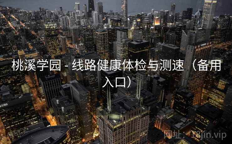桃溪学园 - 线路健康体检与测速（备用入口）
