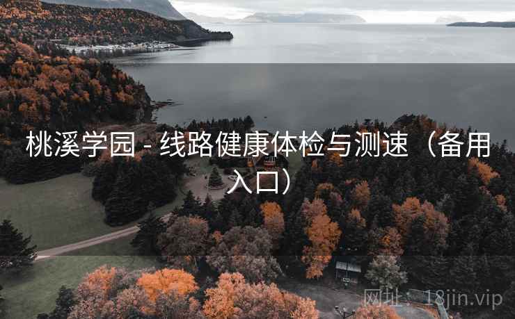 桃溪学园 - 线路健康体检与测速（备用入口）