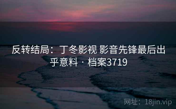 反转结局：丁冬影视 影音先锋最后出乎意料 · 档案3719